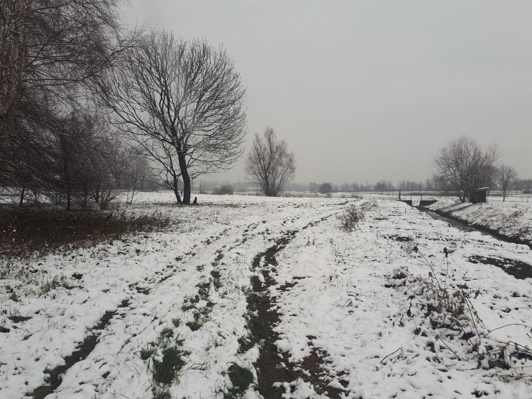 Piękna zima na Podkarpaciu. Sypnęło śniegiem [ZDJĘCIA]