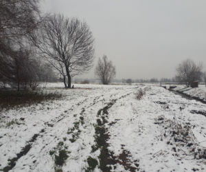 Piękna zima na Podkarpaciu. Sypnęło śniegiem [ZDJĘCIA]