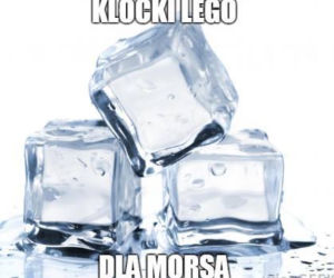 Morsowanie: MEMY 2021. Zobacz najlepsze obrazki i memy o morsowaniu! [ZDJĘCIA]