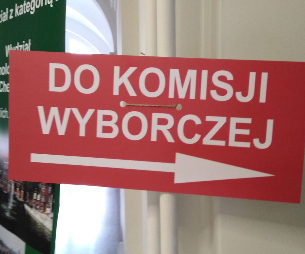 Wybory 2019