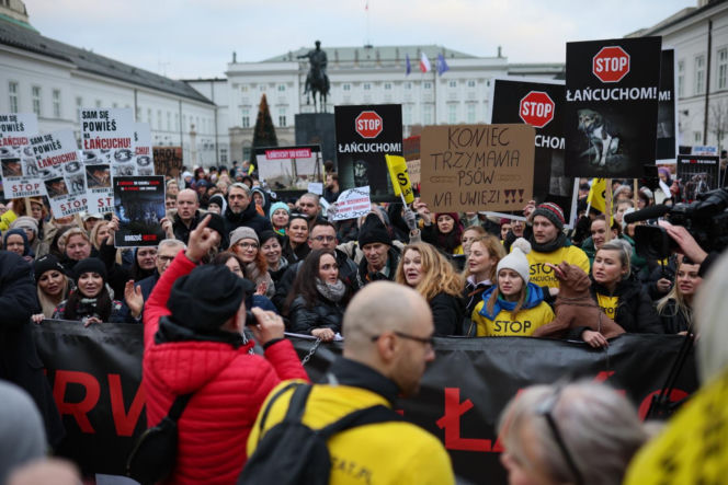 Wielki Marsz dla Zwierząt po wecie prezydenta
