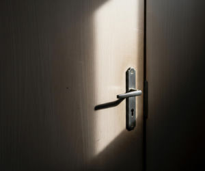 Schronisko w Bytomiu pod ostrzałem. Co ujawniła inspekcja weterynaryjna?