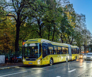 Wszystkich Świętych w Śląskiem. Nowe linie autobusowe i darmowe przejazdy