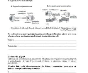 Arkusz biologia rozszerzony matura 2014