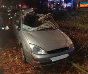 Niepołomice. WYPADEK na DK 75! Jedna osoba w szpitalu po zderzeniu z jeleniem