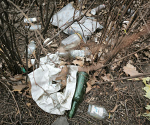 Śmietnisko przy Alternatywie