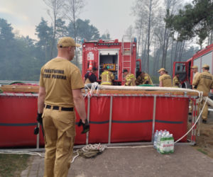 Pożar w Puszczy Białowieskiej