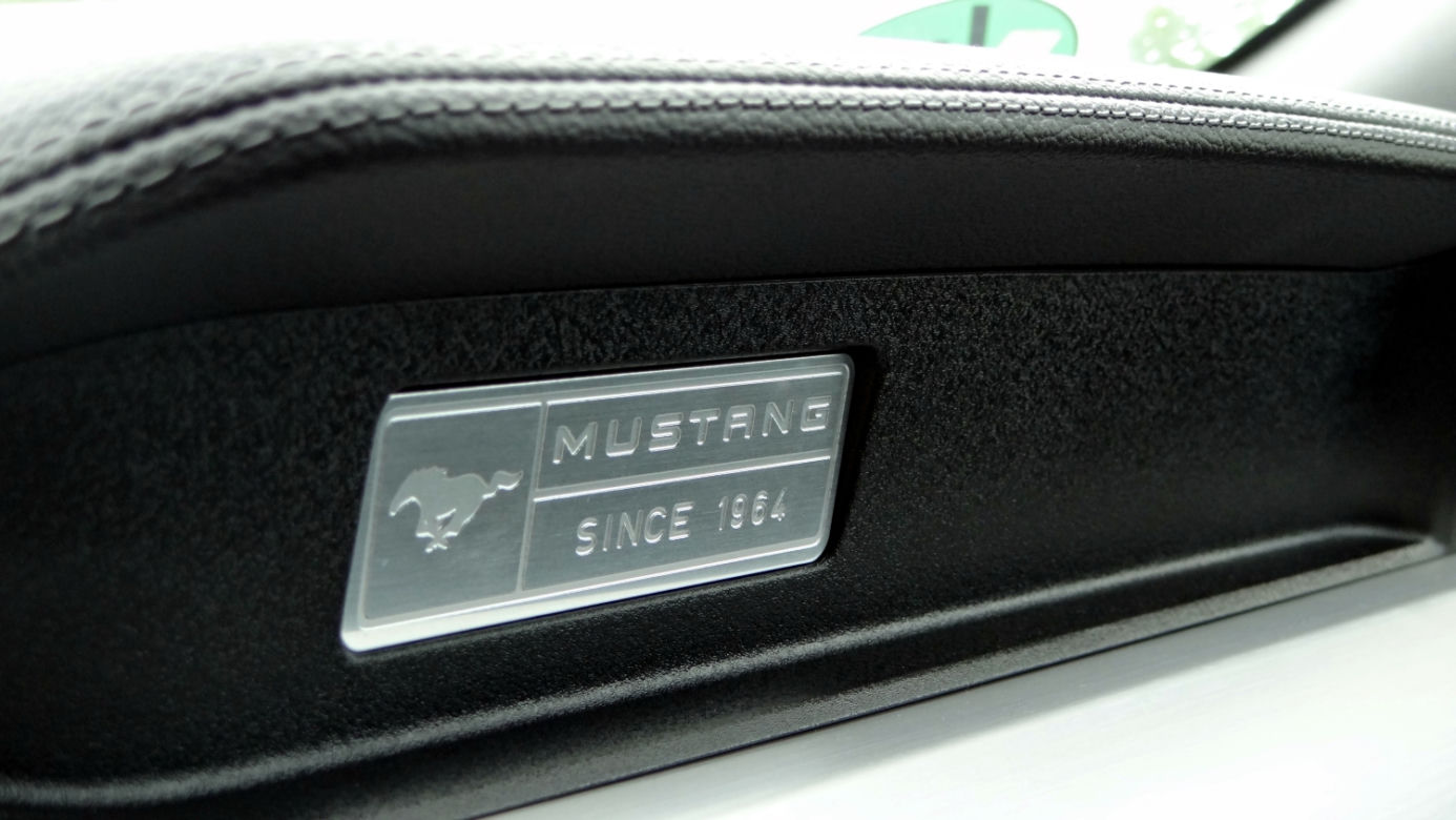 Ford Mustang GT 5.0 V8