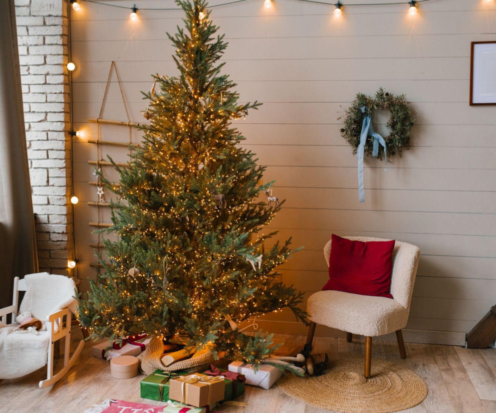 Bombki to symbol grzechu, a jemiołę wieszali już Celtowie. Symbole Bożego Narodzenia