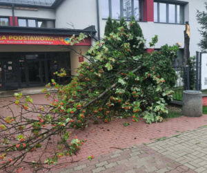Zalane Starachowice