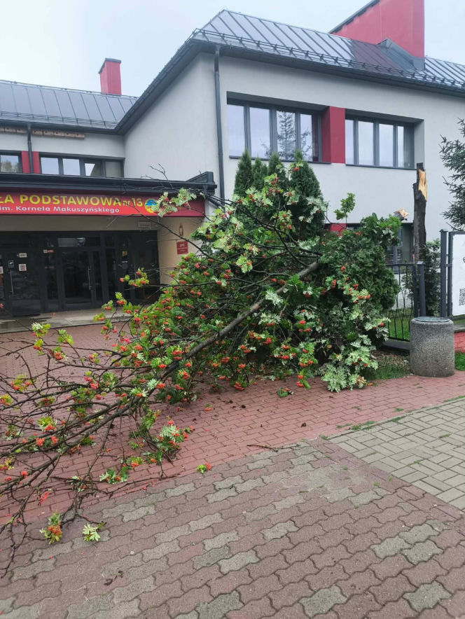 Zalane Starachowice