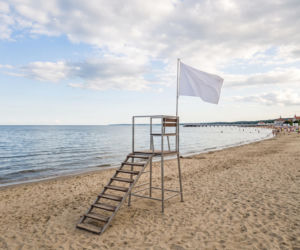 Sinice Sopot. Czy w Sopocie można się kąpać 17.08? Flaga, warunki pogodowe