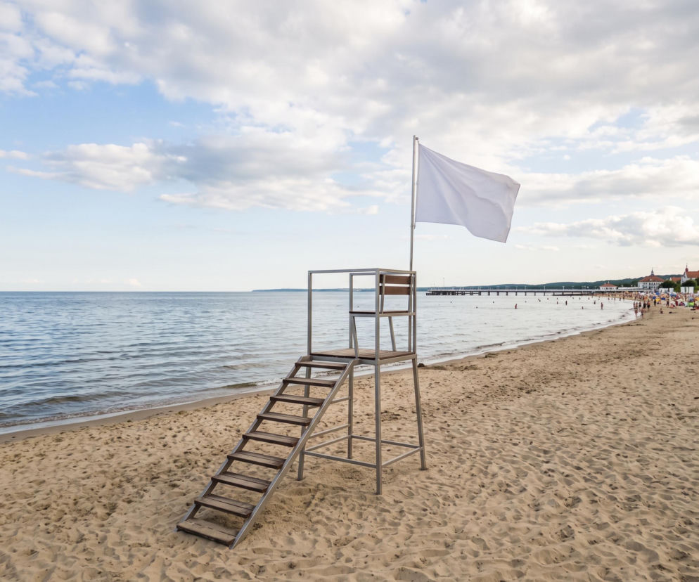 Sinice Sopot. Czy w Sopocie można się kąpać 17.08? Flaga, warunki pogodowe