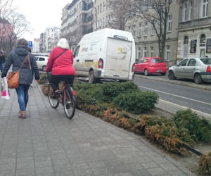 Wrocławskie jelenie rowerowe