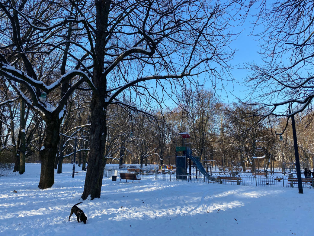 Śnieżna zima w Parku Praskim