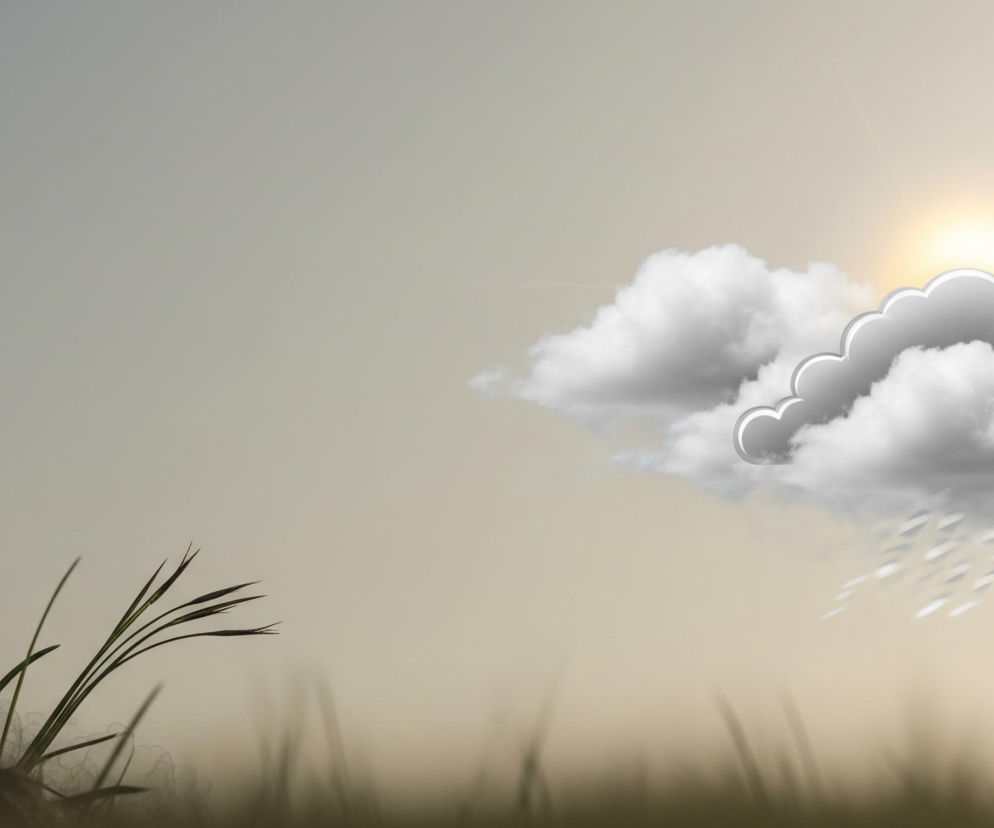 W lewym dolnym rogu obrazu wyrasta z trawy fioletowy, zamknięty pąk krokusa, otoczony zielonymi liśćmi, a jego zewnętrzne płatki mienią się złotym odcieniem. Po prawej stronie, na beżowo-szarym niebie, widoczna jest stylizowana, puszysta chmura z szarym obrysem, zza której wyłania się jaskrawe, żółte słońce, emitujące promienie światła. Spod chmury opada deszcz w postaci jasnych, podłużnych kropel. Tło u góry jest jaśniejsze, przechodząc w ciemniejsze odcienie u dołu, gdzie rozmyta trawa tworzy ciemny pas.