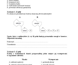 Arkusz biologia podstwowy matura 2014