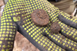 Pasjonaci historii znaleźli skarby sprzed 2 tysięcy lat