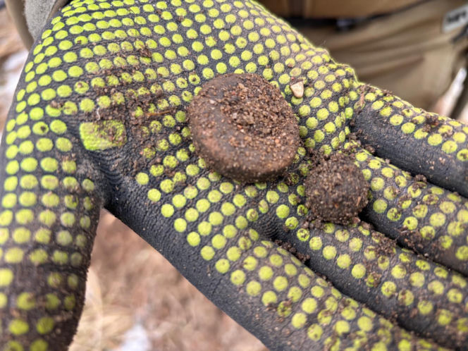 Pasjonaci historii znaleźli skarby sprzed 2 tysięcy lat