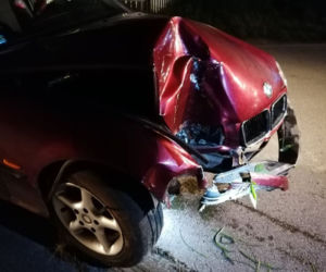 Pies wyskoczył wprost pod koła BMW. Matka z dziećmi zjechała do rowu [ZDJĘCIA]