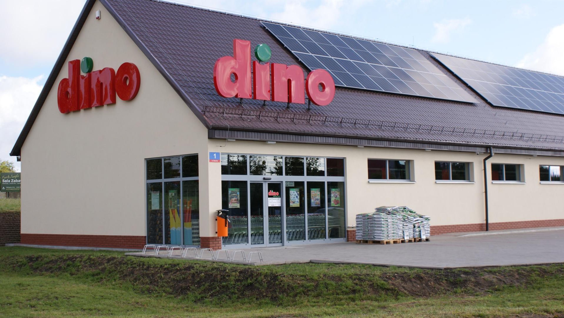 Dino