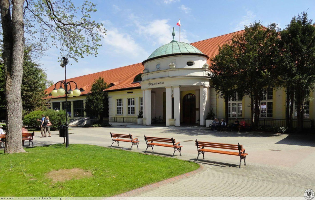 Pijalnia Wód Mineralnych w Polanicy-Zdrój i lecznicze źródła