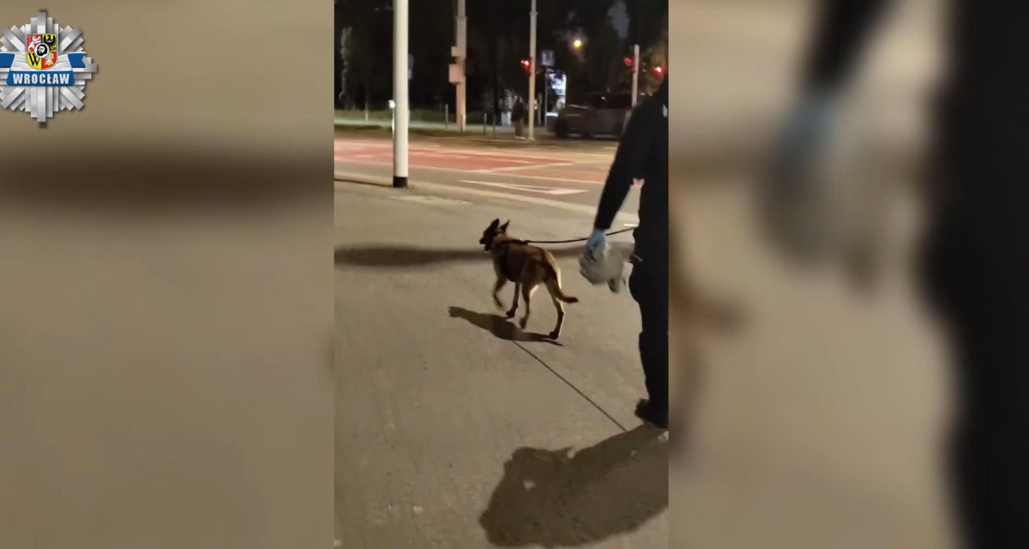 Horror na ulicach Wrocławia! Zaatakował skuterzystę, ukradł Opla i uderzył kobietę w twarz