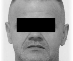 Piotr G.