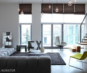 Loft wnętrza