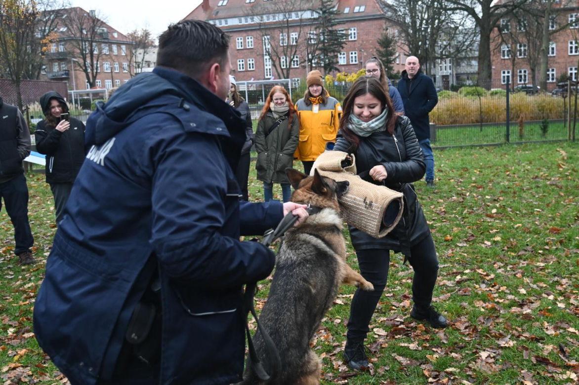 Trening psów ze studentami