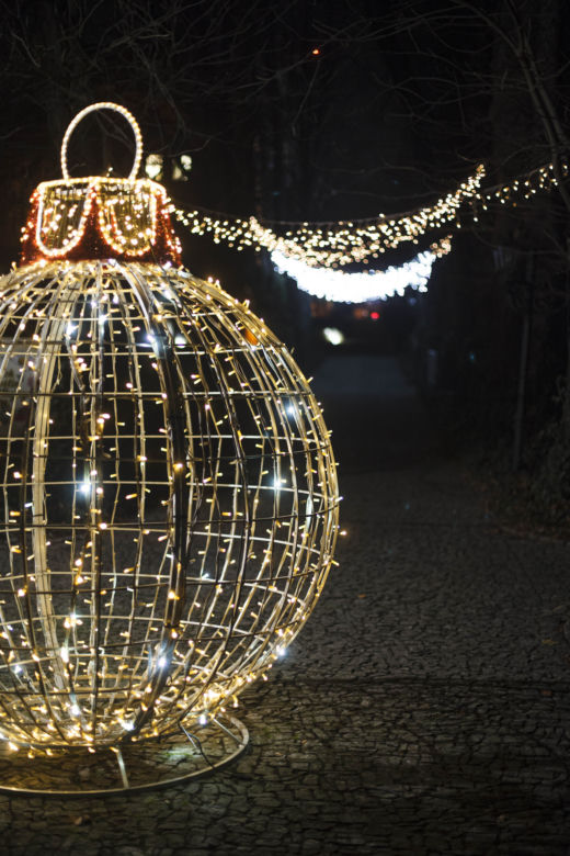Lasery, muzyka i kolorowe iluminacje w Ogrodzie Botanicznym we Wrocławiu