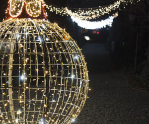 Lasery, muzyka i kolorowe iluminacje w Ogrodzie Botanicznym we Wrocławiu