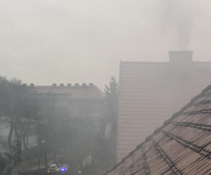 Pożar na wrocławskim Sępolnie we Wrocławiu 