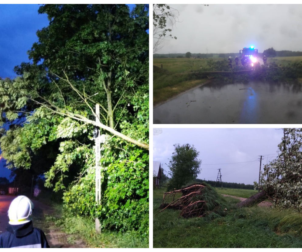 Burze i wichury w Podlaskiem. Połamane drzewa, zerwane dachy i brak prądu