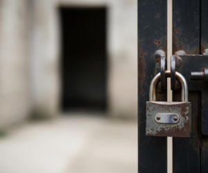 Happy Dog to ironia losu. Co dzieje się za murami schroniska w Sobolewie?