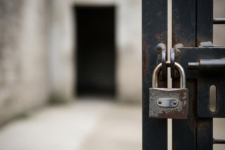 Happy Dog to ironia losu. Co dzieje się za murami schroniska w Sobolewie?