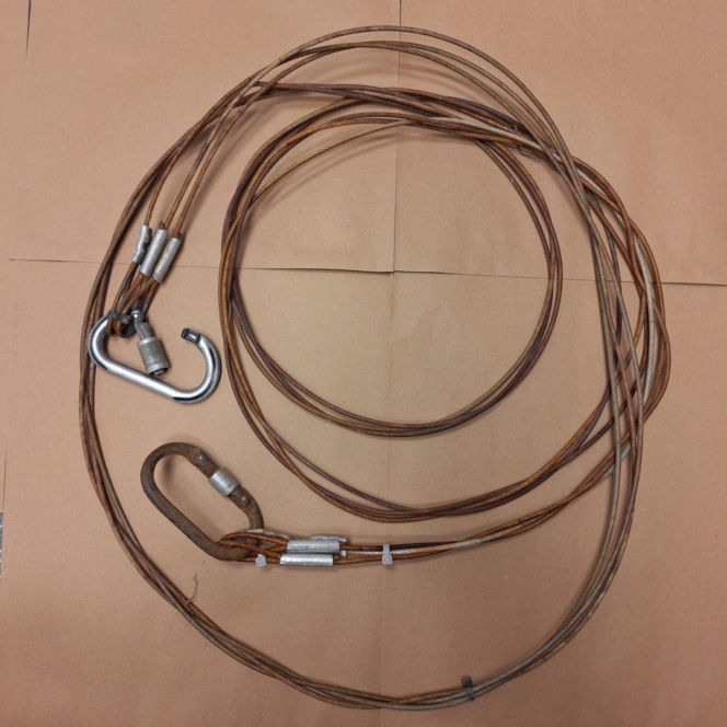 Skazał psa na powolną śmierć w zaroślach. Zwierzę pod Oławą było uwiązane na stalowej lince