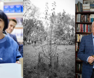 NIEZWYKŁE HISTORIE DRZEW W WARSZAWIE. Przewodnik