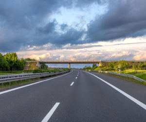 Mężczyzna zatrzymał ruch, by zabrać śpiącego 8-tygodniowego malucha leżącego na środku autostrady