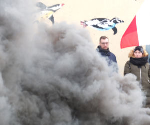 Rolnik poszedł siedzieć za brak kolczyków u świń. Protest w Lublinie