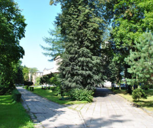 Jego nazwa miała powstać podczas polowania. To jedno z najpiękniejszych miast na Górnym Śląsku