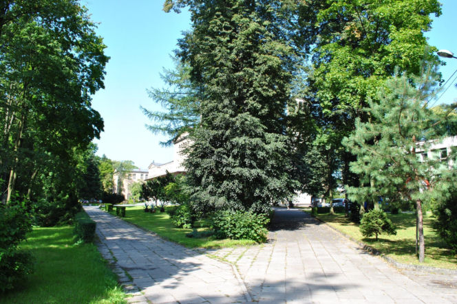 Jego nazwa miała powstać podczas polowania. To jedno z najpiękniejszych miast na Górnym Śląsku