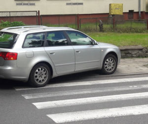 Mistrz parkowania w Koszalinie