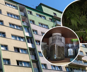 Ogrodnik z Bałut zatrzymany. Tak wyglądał pokój 25-latka, który wynajmował!
