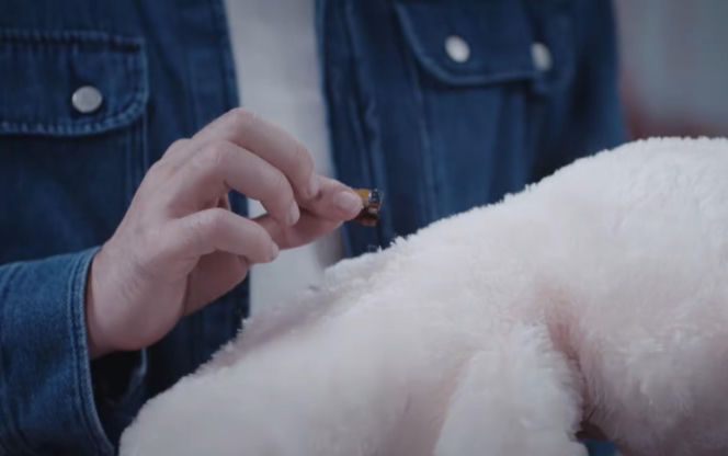 Dziedzictwo odcinek 884