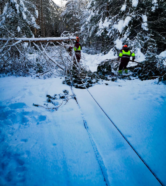 Atak zimy w Elblągu