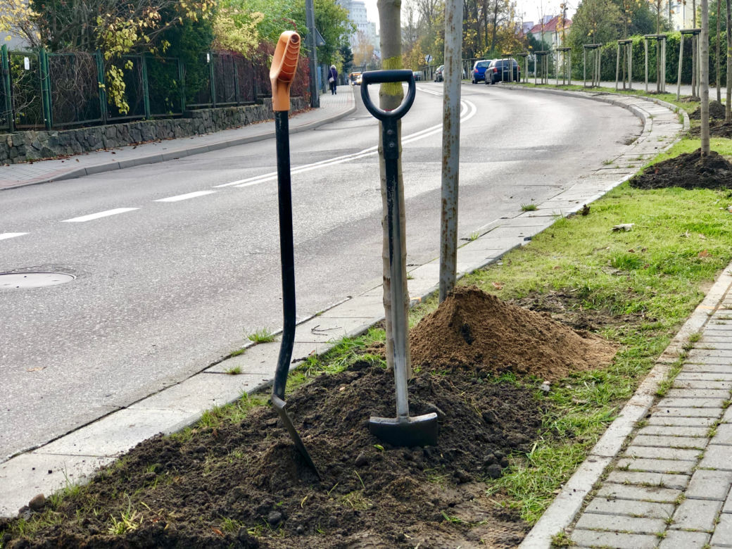 - To najlepszy moment, kiedy nareszcie można oderwać się na chwilę od obowiązków związanych z pracą w gabinecie – mówi Wojciech Szczurek, prezydent Gdyni. 