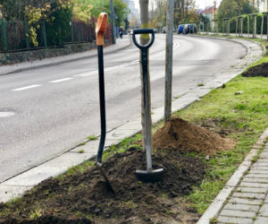 - To najlepszy moment, kiedy nareszcie można oderwać się na chwilę od obowiązków związanych z pracą w gabinecie – mówi Wojciech Szczurek, prezydent Gdyni. 