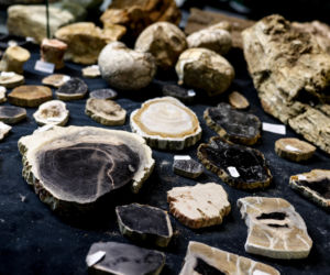 Giełda minerałów w Spodku przyciągnęła tłumy! GeoExpo ekspozycję wspaniałych cudeniek