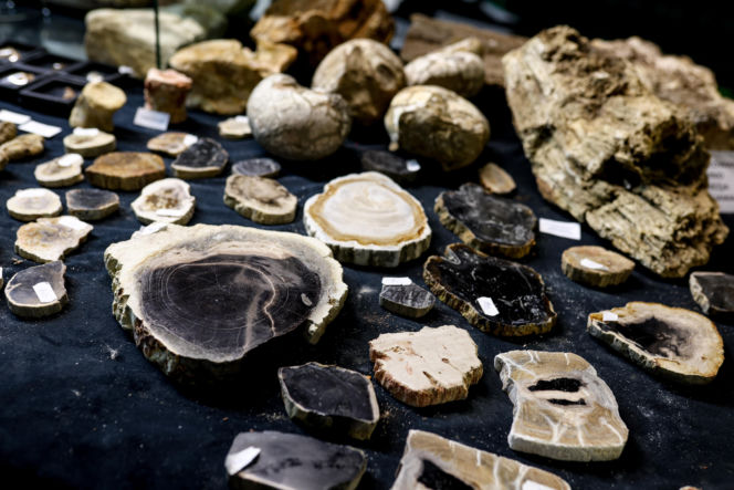 Giełda minerałów w Spodku przyciągnęła tłumy! GeoExpo ekspozycję wspaniałych cudeniek